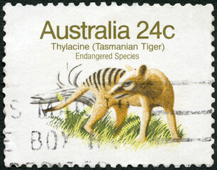 Wall Mural - AUSTRALIA - 1981: shows Thylacine, Tasmanian tiger, endagered species, 1981