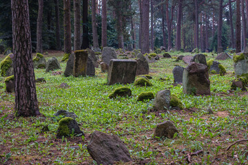 Canvas Print - Cemetery in Kruszyniany, primarily a Lipka Tatars settlement in Podlasie region, Poland