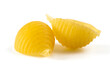 Seashell pasta