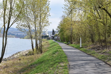 Sticker - Weg am Rheinufer bei Koblenz