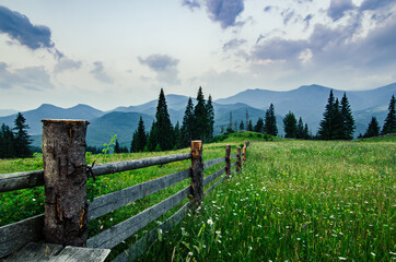 Wall Mural - Mountain summer landscape