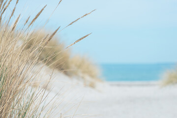baltic sea dunes over blue coastline background