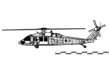 Sikorsky UH-60A Black Hawk. Vector Drawing Of Utility Helicopter. Side View. Image For Illustration And Infographics.