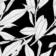 Seamless Pattern Background With Magnolia Branch And Leaf Drawing Illustration. Black White Line Illustration.
