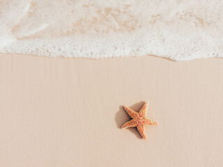 Sticker - starfish on the beach