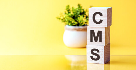 Poster - Three wooden cubes with letters - cms - content management system, on blue table, space for text in right. Front view concepts, flower in the background.