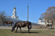 Horses on the background of an Orthodox Monastery.Yuriev Monastery.Veliky Novgorod, Russia.Spring view