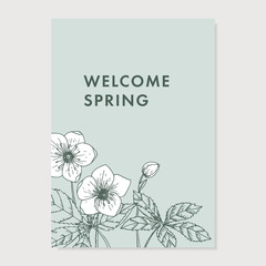 Wall Mural - Spring greeting card, invitation. Floral, decorative corner. Blooming white hellebores flowers and leaves. Elegant botanical engraving, vintage design. Pen drawing. Vector illustration background.