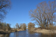 Spring landscape with a river and trees without leaves along the banks. A fallen tree in the river after a spring flood 
