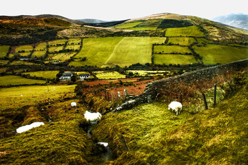 Ireland Landscape