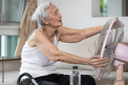 Happy smiling senior woman enjoying cooling wind from electric fan,old elderly people refreshing embracing cooling fan in sunny hot summer day,sit rest on comfortable couch at home during heatwave