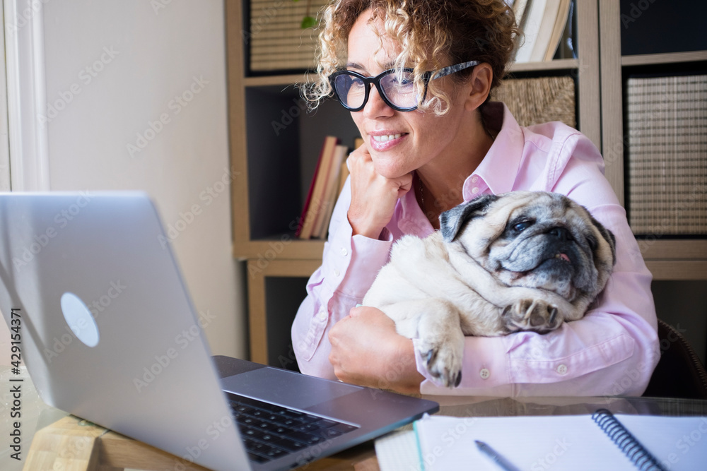 Adult woman work at laptop computer at home in office with her lovely ...