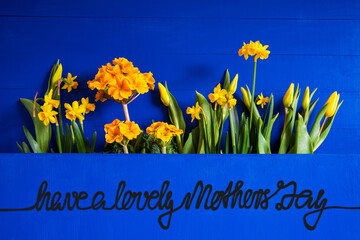 Wall Mural - Yellow Spring Flowers, Tulip, Narcissus, Text Have A Lovely Mothers Day