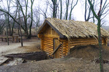 Fototapeta  - Old solid log cabin shelter hidden in the forest