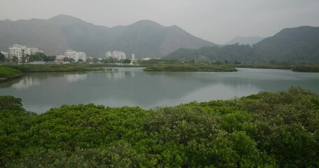 Poster - Mangrove sea and mountain in Tai O