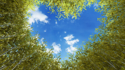 Concept or conceptual heart shape symbol made of forest tree branches over a blue sky background as romantic frame. A metaphor to love, Valentine Day celebration, environment ecology 3D illustration