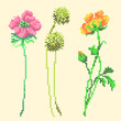 vector art embroidery flowers