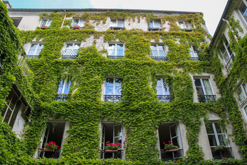 Poster - Immeuble végétalisé à Paris