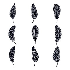 Wall Mural - Feather Icon Collection