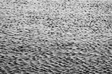 Poster - lake with ripples. black and white water surface texture