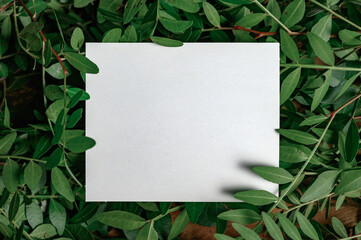 Paper Card Mockup on a Green Leaves for design of invitation, advertising card.