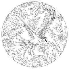 Wall Mural - Hand drawn round shape coloring page for kids and adults. Coloring book with parrot and tropical leaves. Beautiful drawings with patterns and small details. Vector