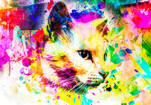 Cat Face With Paint Splash Art