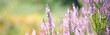 Picturesque scenery of the evergreen woodland in a fog at sunrise, forest floor of blooming pink and purple heather flowers close-up. Idyllic autumn scene. Pure nature, environment. Panoramic image