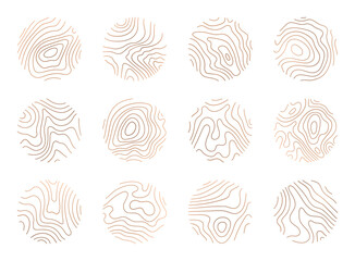 tree ring clipart, vector logo wood ring. circle topography map stock illustration
