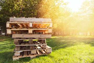 Wall Mural - Pile of wooden pallets on forest background