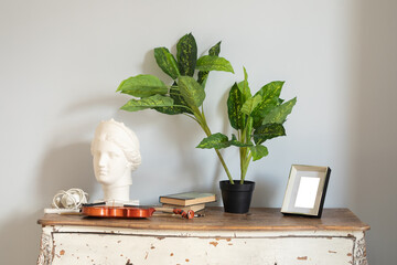 an old chest of drawers with a violin, a pot with a green plant, a white decorative bust and a photo frame