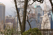 New York skyline with trees in the foreground