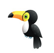 Cute baby toucan bird isolated on white. Adorable toucan character kids vector cartoon.