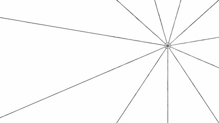 Wall Mural - Lines drawing animation. Spider web in one corner of the screen. White background.