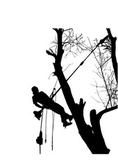 Arborist