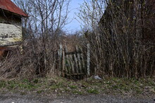 An Old Wooden Gate, Half-ruined, Among The Bare Bushes. After Winter. Early Spring.