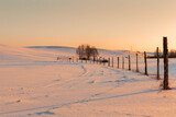 Fototapeta Na ścianę - sunset in the snow