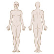 Model of the human body. Hand drawn gender-neutral figure on isolated background, front and back views, colored variant. Flat vector, EPS 8.