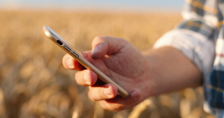 Close up shot of Caucasian man hand typing and tapping on smartphone while standing in field outdoors. Male fingers texting on cellphone in countryside on sunny day. Technology concept