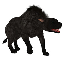 Black Warhound Walking - The Warhound Also Called Hellhound Is The Mythical Dog That Guards The Gates Of Hell With Glowing Red Eyes.