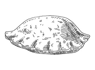 Empanadas. Mexican traditional food. Vintage hatching vector black illustration.