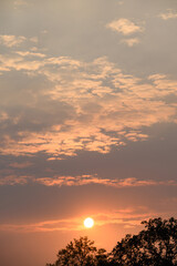 Wall Mural - Beautiful vanilla sky with clouds and sunlight before sunset above tree, Nature background