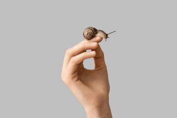 Poster - Hand with snail on grey background