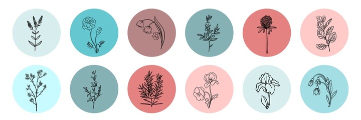 Wall Mural - collection of floral round icons in warm colors isolated. borders decorated with hand drawn delicate
