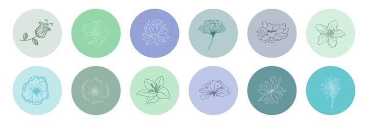 Wall Mural - collection of floral round icons in warm colors isolated. borders decorated with hand drawn delicate