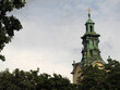 © vofchok - Widok na wieżę katedry Wniebowzięcia Najświętszej Maryi Panny we Lwowie na tle liści, Ukraina