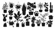 Houseplants. Vector set of silhouettes home plants, succulents in pot. Indoor exotic flowers with stems and leaves. Monstera, ficus, pothos, yucca, dracaena, cacti, snake plant for home and interior