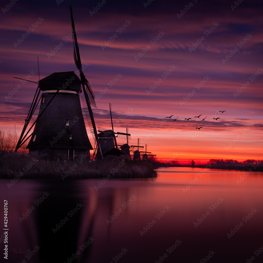 Kinderdijk Nederland holland  - obrazy, fototapety, plakaty 