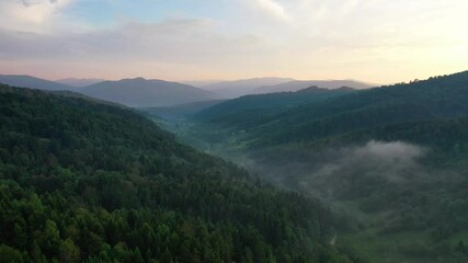 Wall Mural - nature. fog over the forest in the mountain valley. view from the air. summer landscape with forest 