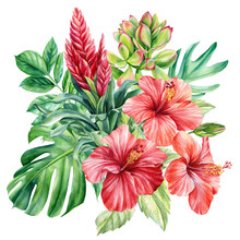 Bouquet Of Hibiscus Flowers And Tropical Leaves On An Isolated Background. Watercolor Illustration, Postcard 